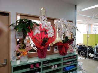 20190301_131552.jpg