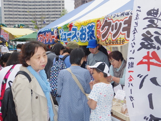 IMGP7788.JPG