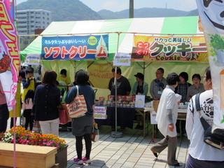 IMG_0137_1.jpg